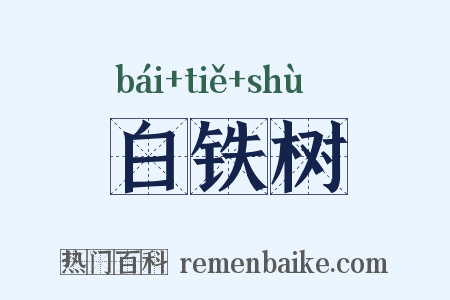 白铁树是什么意思的图片